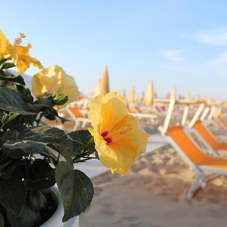 Hotel Villa Lieta 里米尼 外观 照片